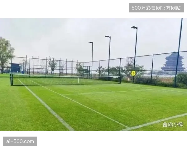 葡萄牙队需提前适应不同草皮的球反弹和滑动速度，以降低球员脚踝受伤风险